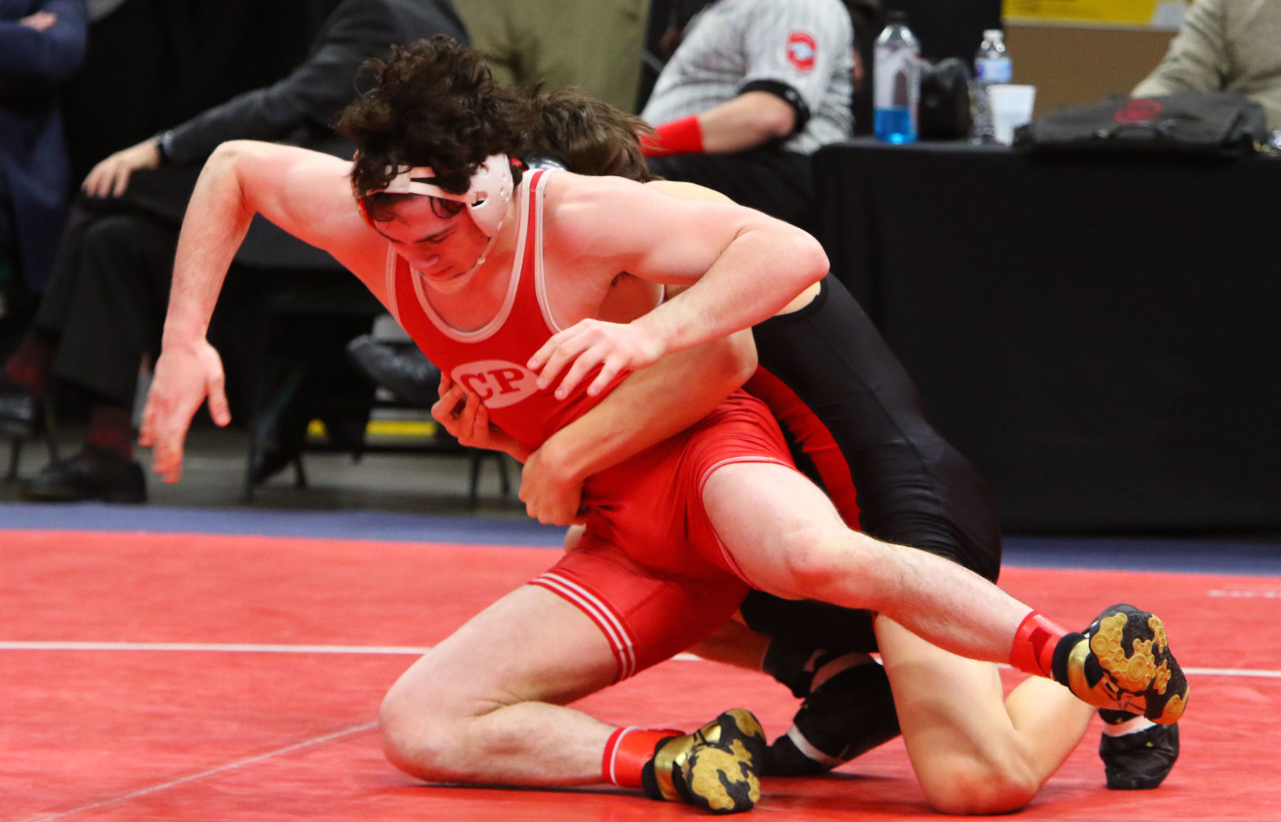 Gallery: Wrestling State Finals